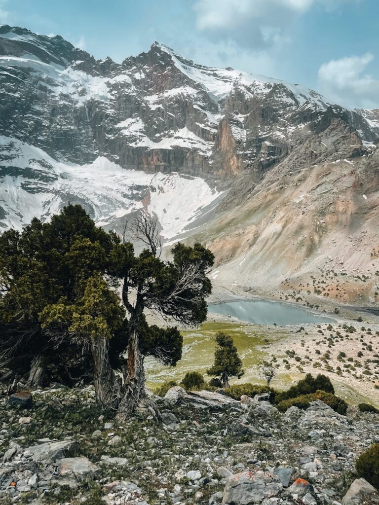 mountains and a rocky hill with a tree